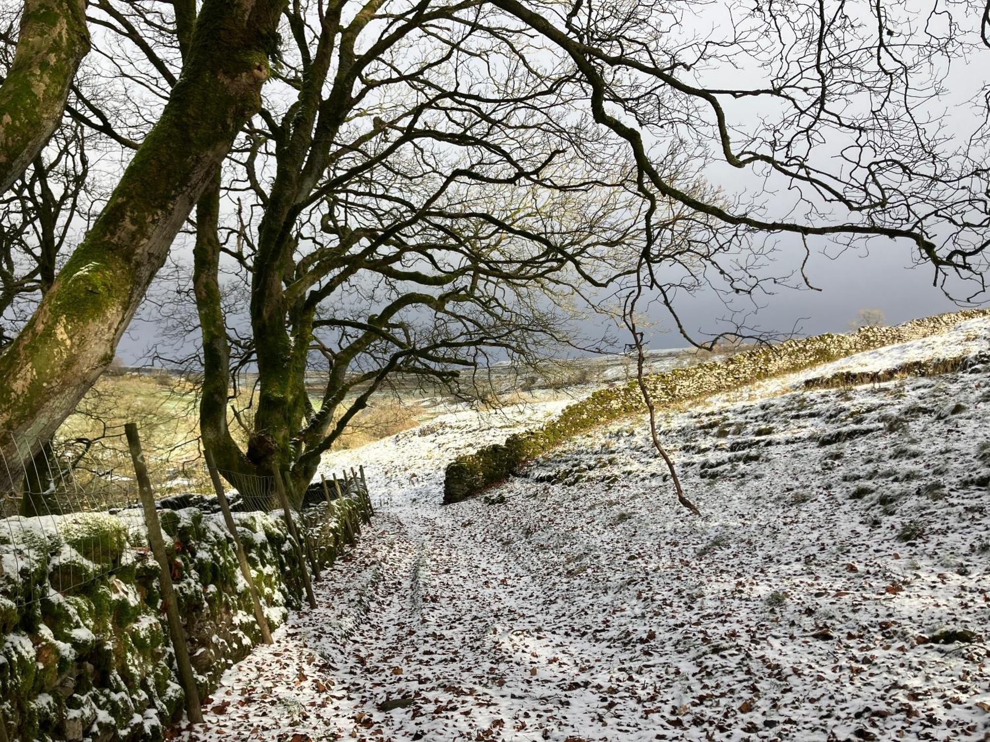 The Snug At Greystones * Buckden (North Yorkshire)